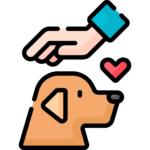 Pet Friendly